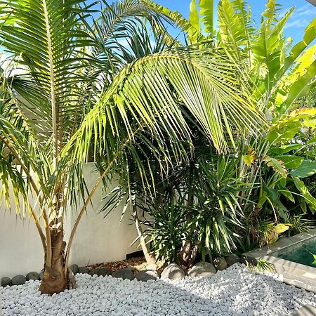 Villa Le Yucca 974 By J&V Saint Pierre Exterior foto
