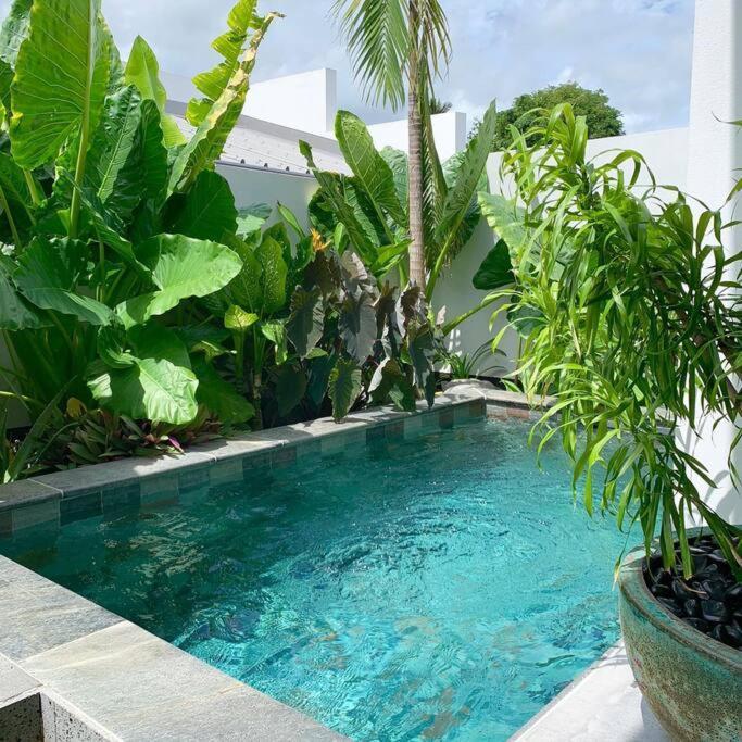 Villa Le Yucca 974 By J&V Saint Pierre Exterior foto