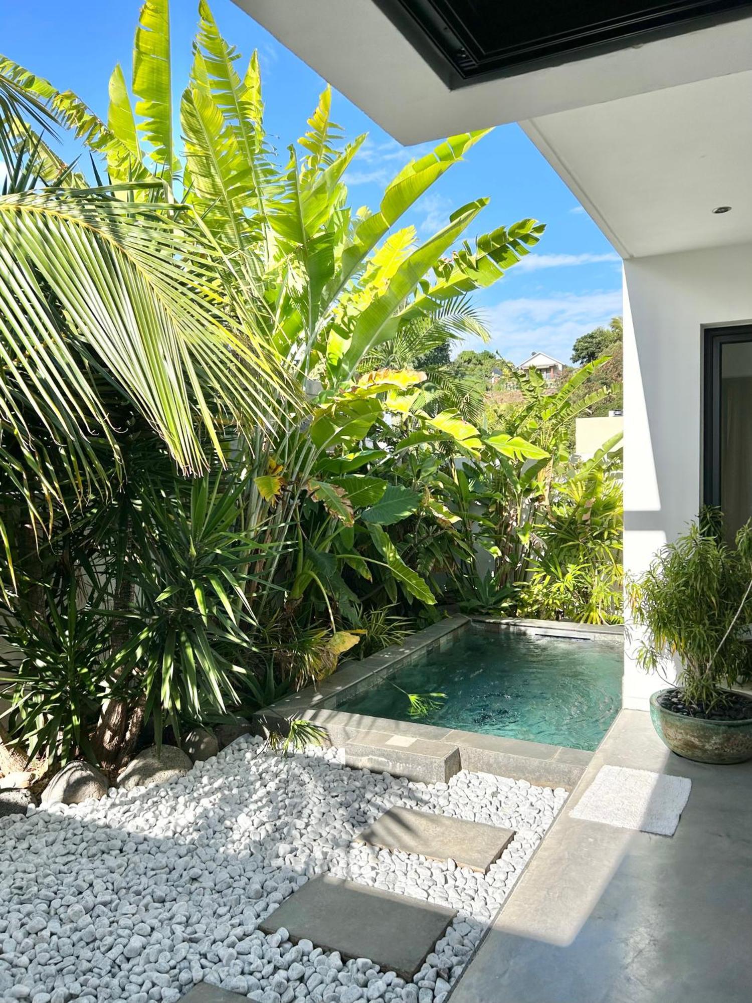 Villa Le Yucca 974 By J&V Saint Pierre Exterior foto